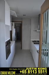Park Infinia At Wee Nam (D11), Condominium #177515482